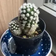 みなみ