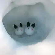 まさの画像