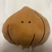 玉葱の画像