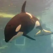 どらきちママの画像