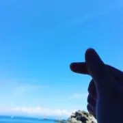 ての
