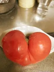さち