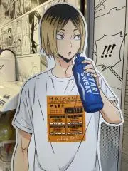 陽舞の画像