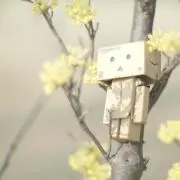 MIKANの画像