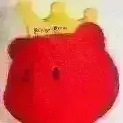 期間限定価格＊出品中の画像