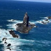 Cnの画像