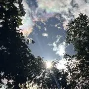 ろろまるの画像