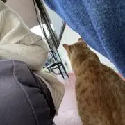 kokiの画像