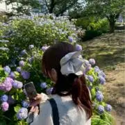 砂肝の画像
