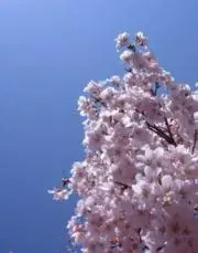 Monaｎ.74の画像