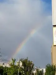 クルーガーの画像