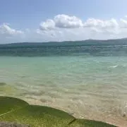 ☆即購入☆大歓迎♡Eriの画像