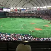 まこくーす