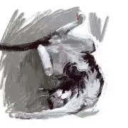 こむぎこ