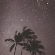 amoの画像