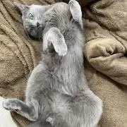 戸間の画像