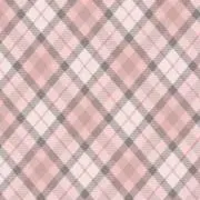 ぱんなの画像