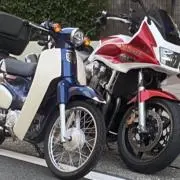mしょうの画像
