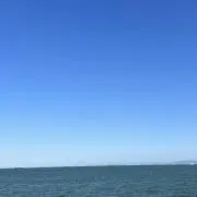 mkmの画像