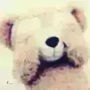 くまの画像