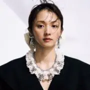 nacciの画像