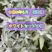としちゃん♡プロフィールお読みくださいの画像