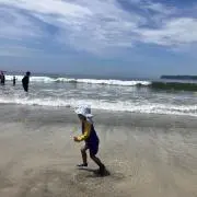 ねぎとろの画像