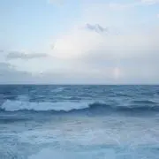 京都市北区直接引き取りのみ 元値80万 黒壇 木製ダイニングテーブル+