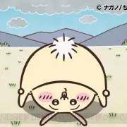 うさぎの画像