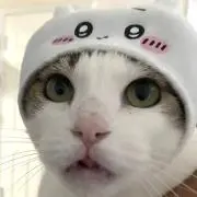 つなの画像