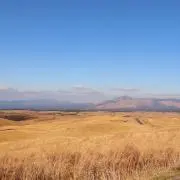 PMGRの画像