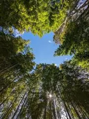 だったんママの画像