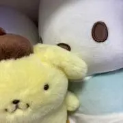 KIKOの画像