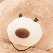 yu.[プロフ確認お願いします]の画像