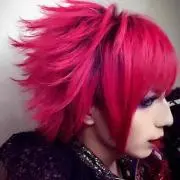 ぷーたん