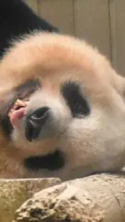 さっちん