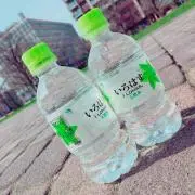丸☀︎翌日発送.プロフ必須の画像