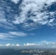 YGの画像