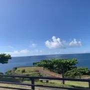 タマちゃんの画像