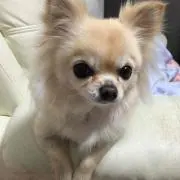 かずりん