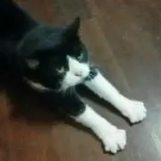 Sally