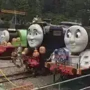 どりりの画像