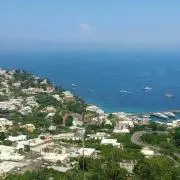 リトルT