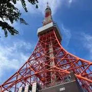 れいの画像