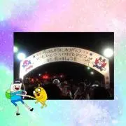 ニコの画像