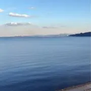ステファニーの画像