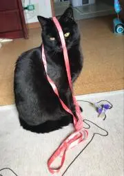 ちんさんの画像