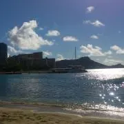 ダイの画像