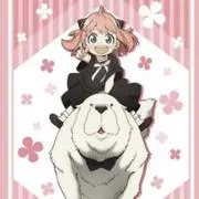 みーの画像