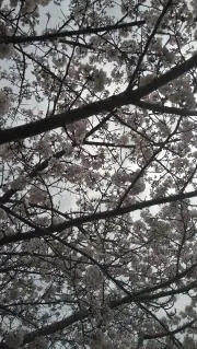 ラッキー&メロン（プロフ必読）
